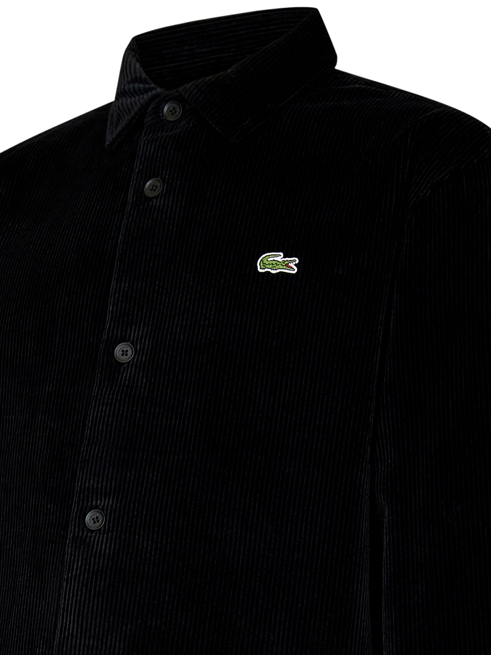 Lacoste CH3512031