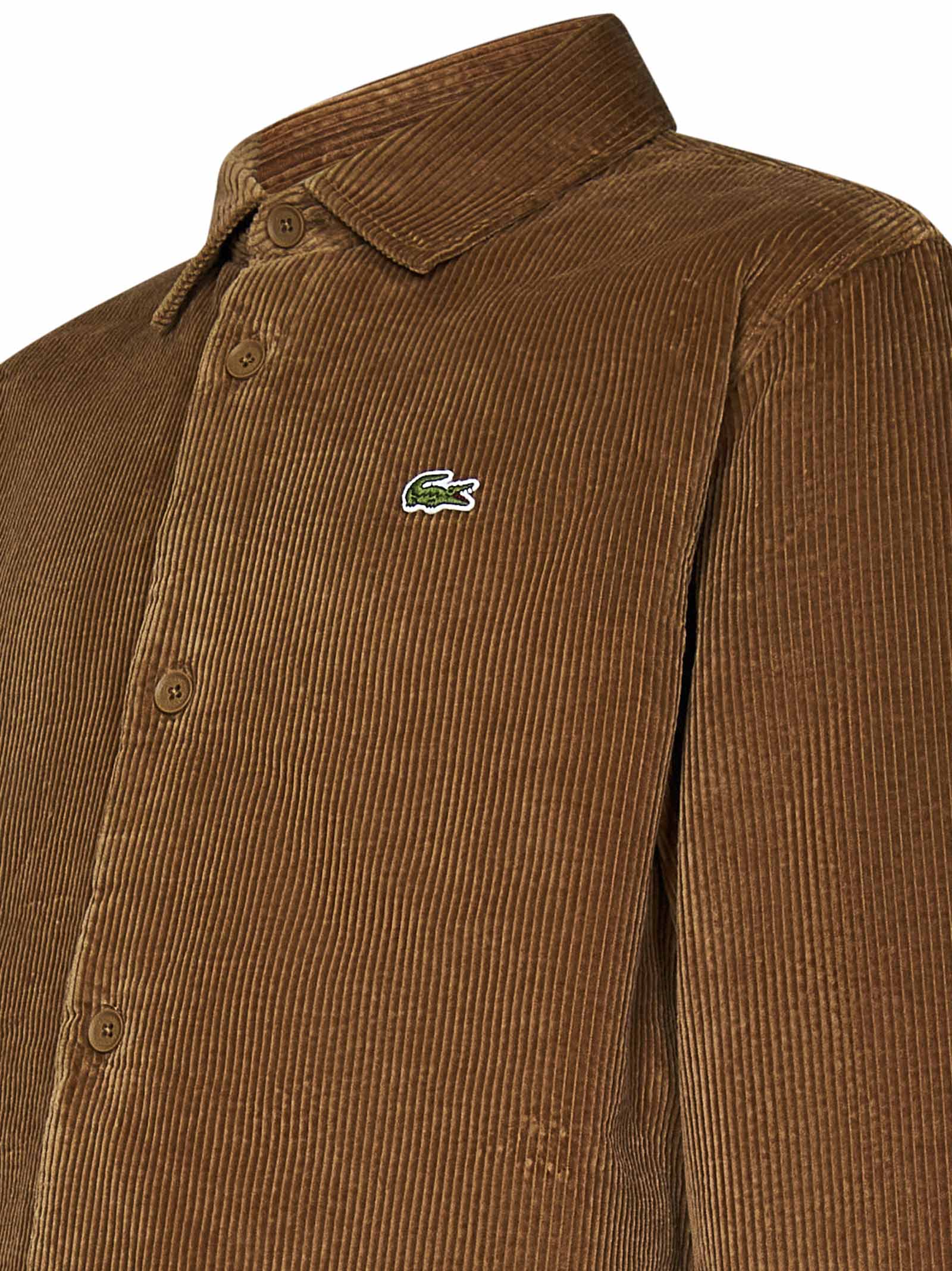 Lacoste CH3512SIX