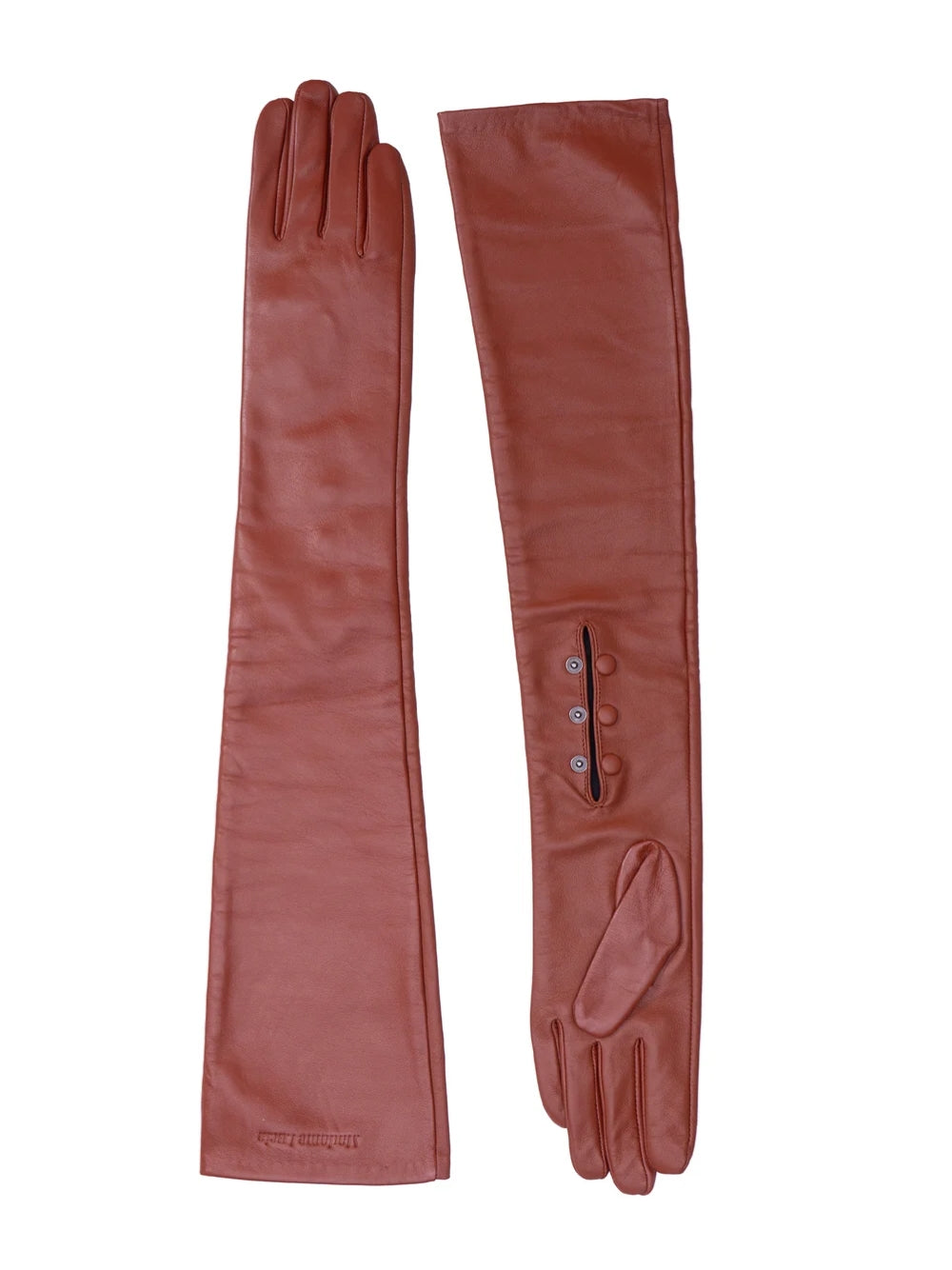 Guanti LEANDRA MaxMara Studio LEANDRA FIZZ Maria Lucia Hohan 