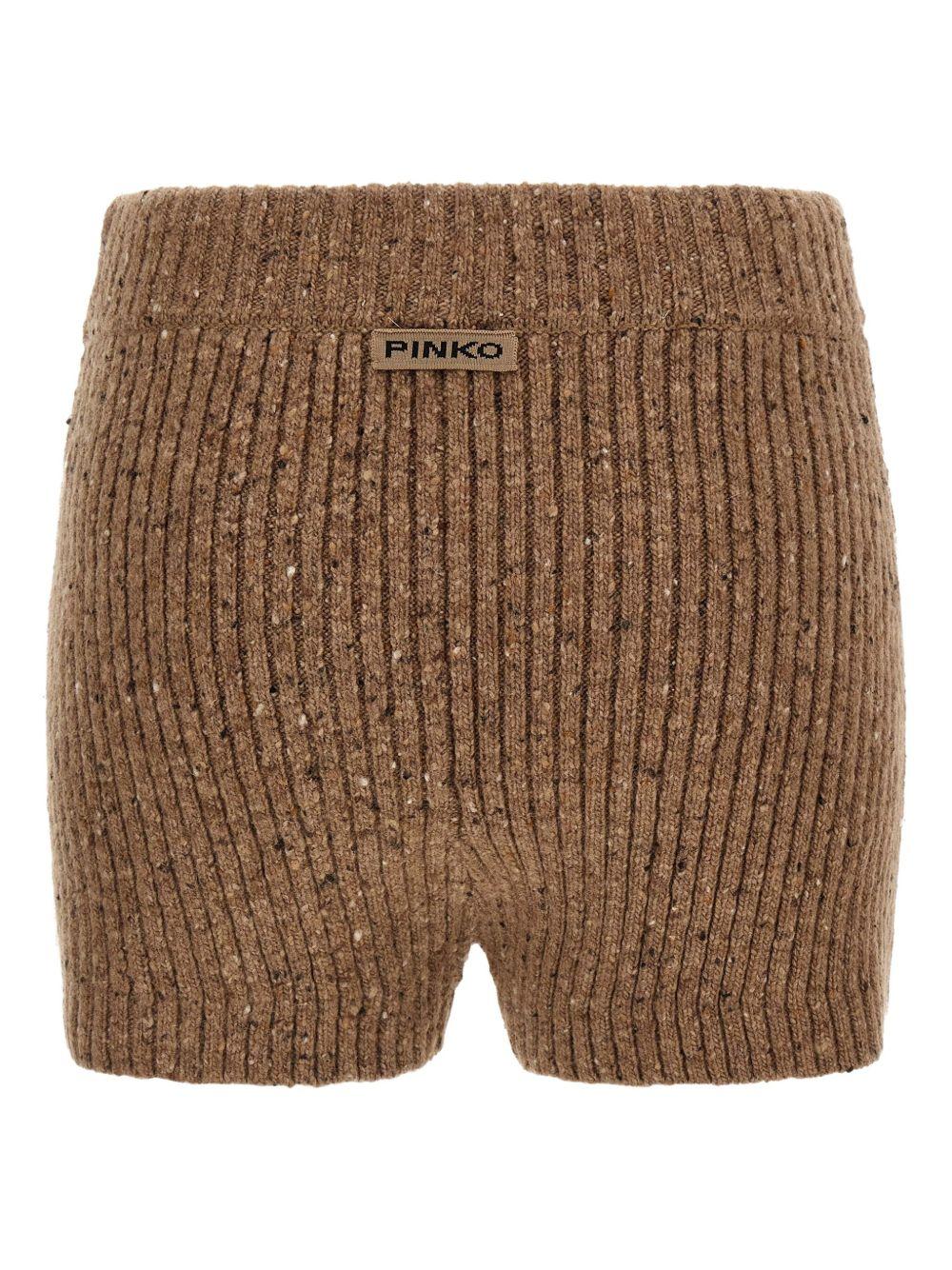 Shorts Pinko 105737A2U4 C3Z Pinko 