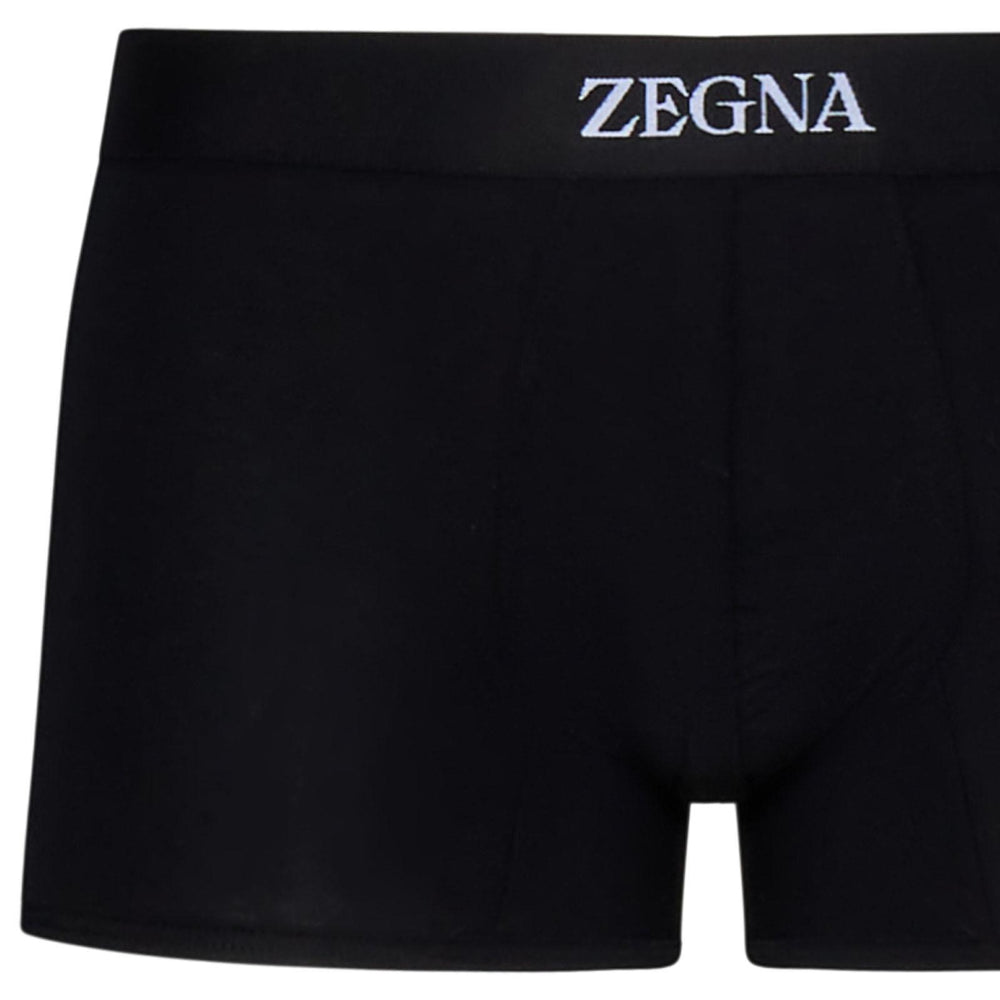
                  
                    Zegna N2LC60090001
                  
                