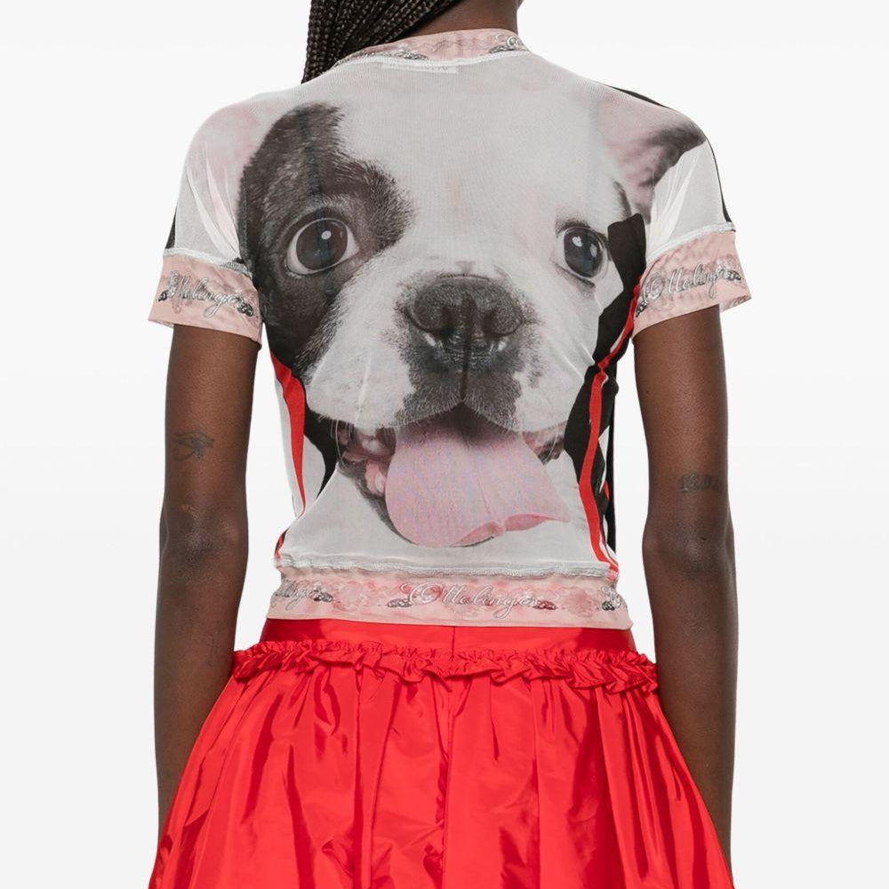 
                  
                    T-shirt Ottolinger 10110040102 PRIWHT Ottolinger 
                  
                