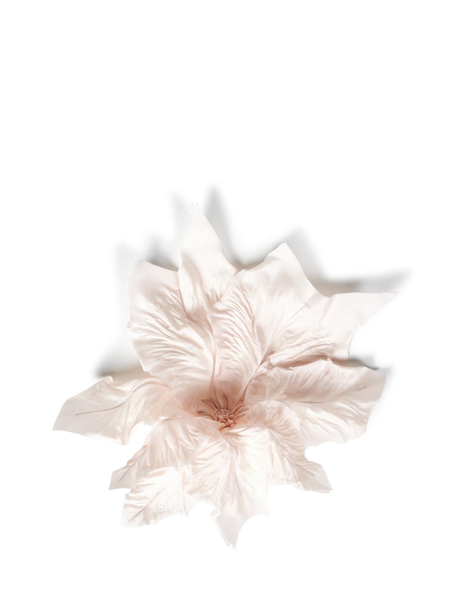 Spilla Nina Ricci 25PAA0153SLK009 U2785 Nina Ricci 